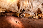 grotte chauvet caverne