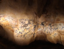 grotte chauvet lions