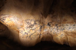 grotte chauvet lions