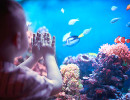 aquarium de lyon maternelle